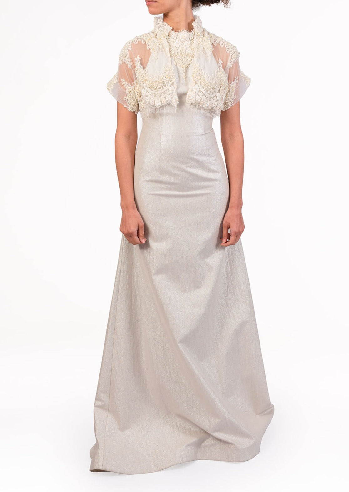 Glittery Silver Gown